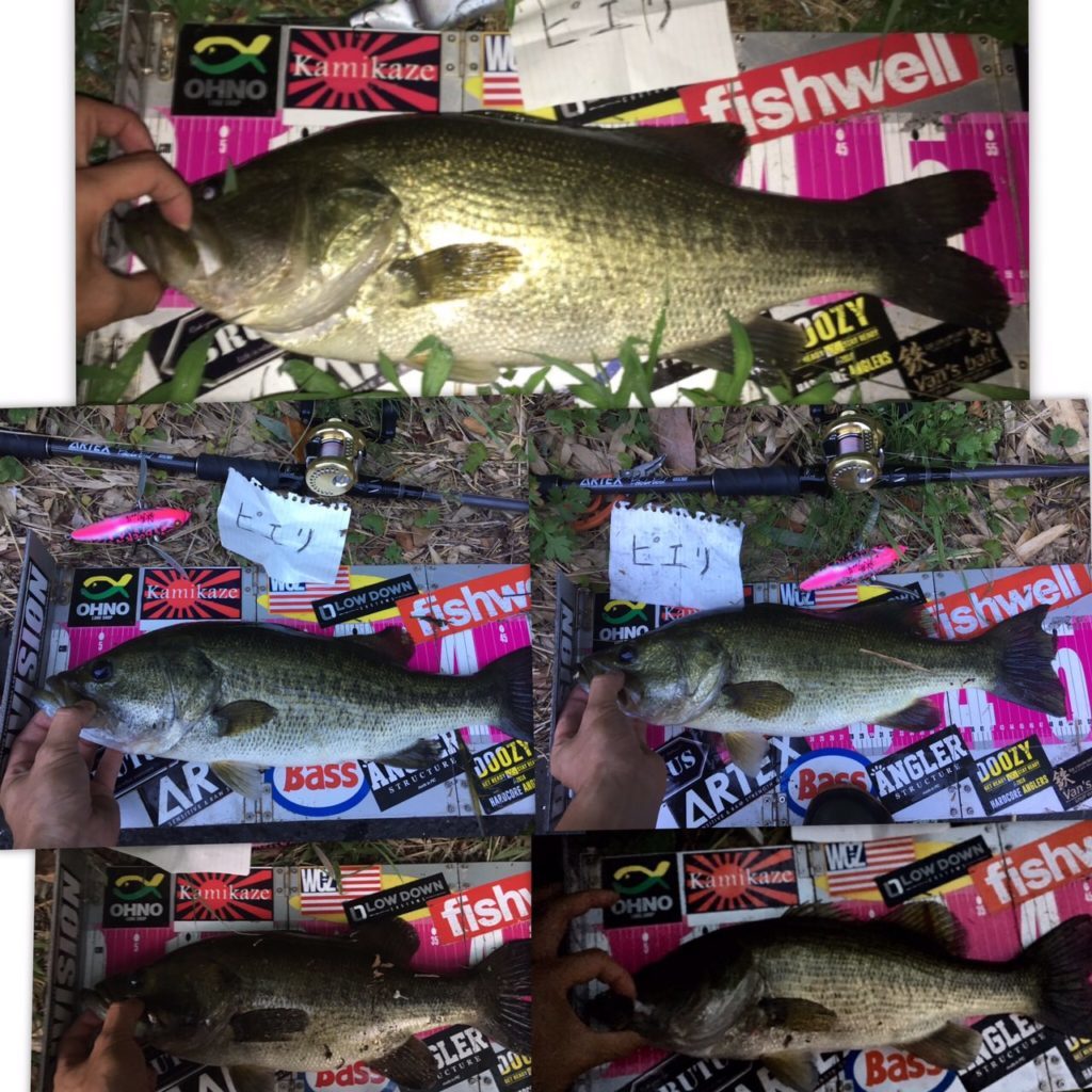 羽根モノマスター講座 デカバスを選んで釣る為のおすすめルアーやタックル テクニックを紹介 Brutus公式 琵琶湖の釣道を求めて